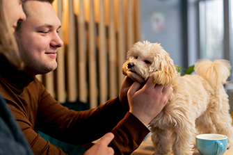 Lemmikkiystävällinen majoitus Kotimaailmasta