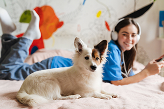 Pet friendly accommodation at Kotimaailma