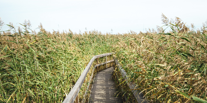 Kalustettu asunto Espoo