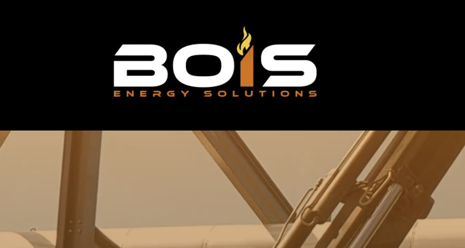 Bois Oy ja Kotimaailma