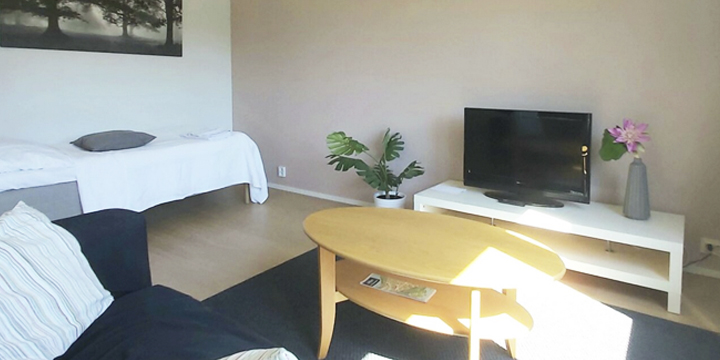 Furnished apartment Orivesi