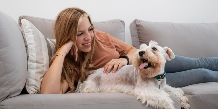 Pet-froiendly accommodation