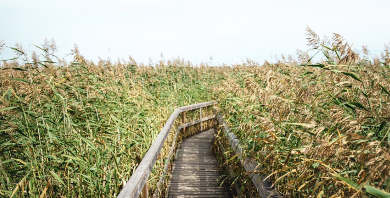 Furnished apartments Espoo