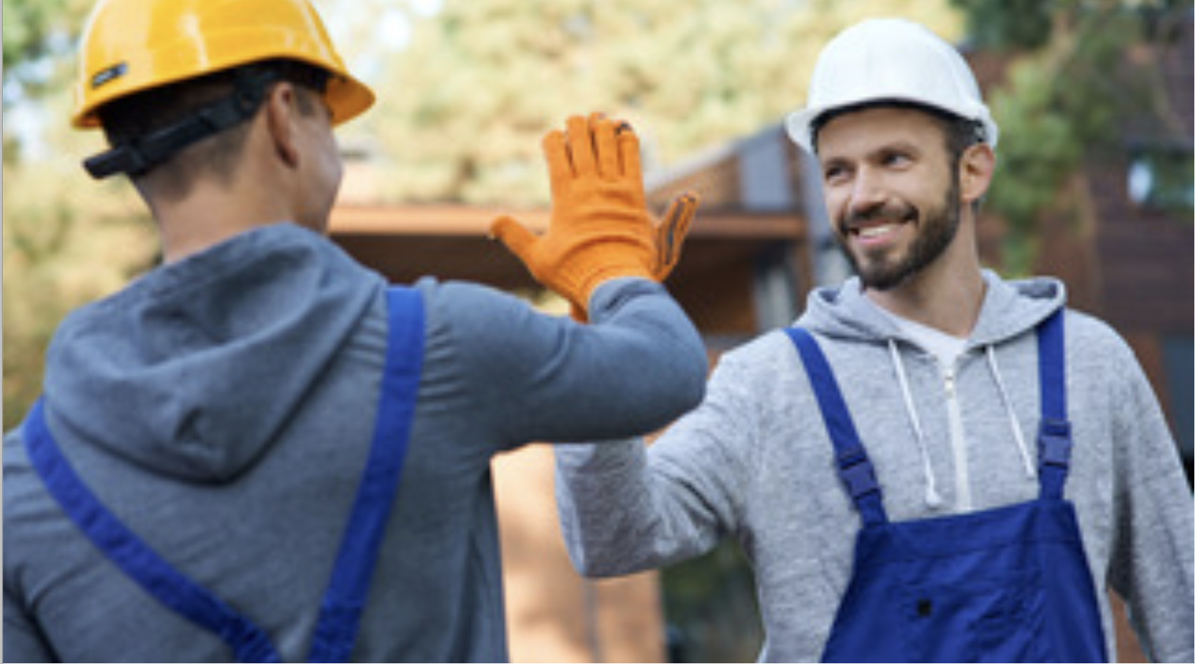 Project Accommodation, Kotimaailma