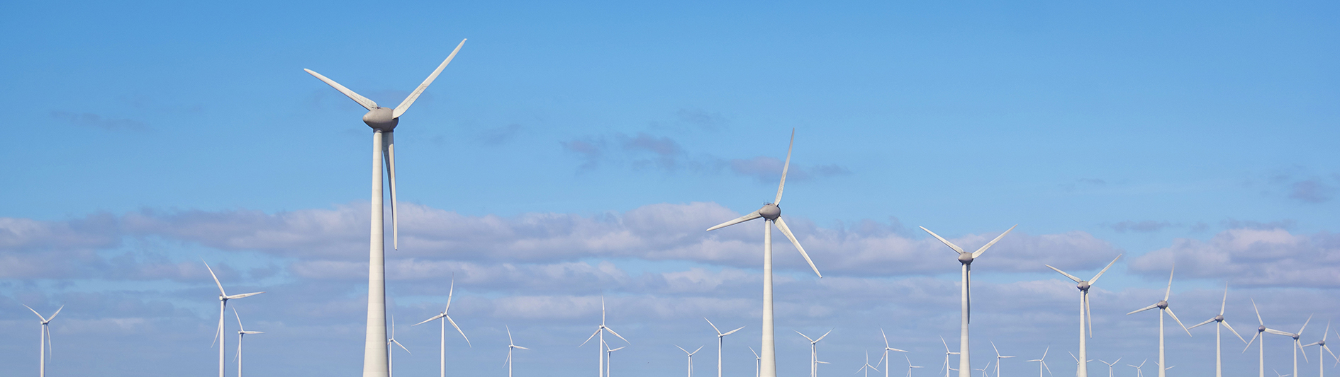 Tuulivoimapuisto, Kotimaailman projektimajoitus energiatuotannon suurhankkeissa